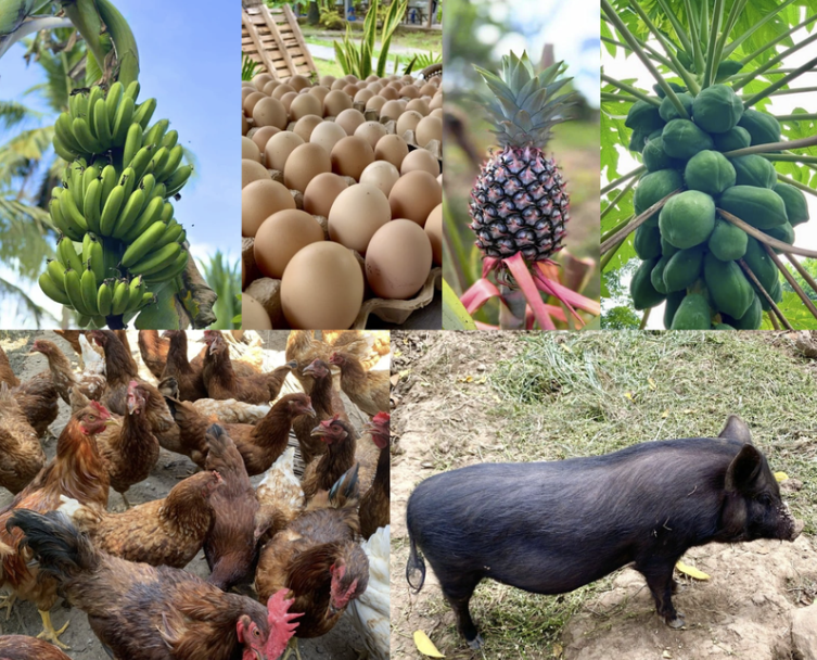 Green bananas on a tree, carton of eggs, a pineapple, green papaya fruits on a papaya tree, a flock of chicken, and a black pig.